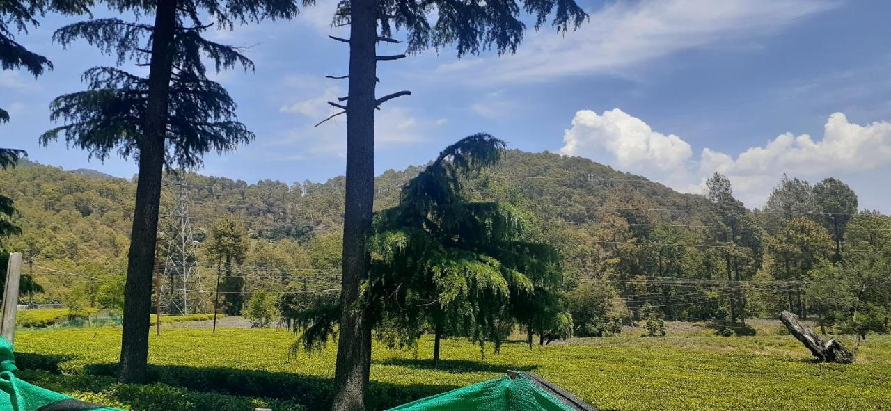 Hotel Goludev Valley View Nainital Exterior foto